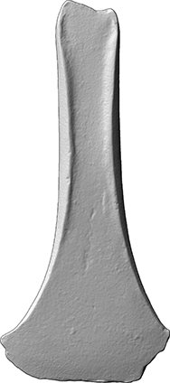 Randleistenbeil (Beil, Randleistenbeil aus Bronze)
