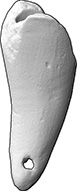 Spitze eines Horns (Trinkhorn aus Keramik)