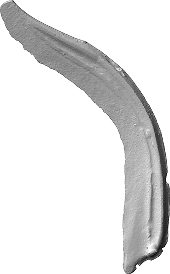 Knopfsichel (Sichel, Knopfsichel aus Bronze)
